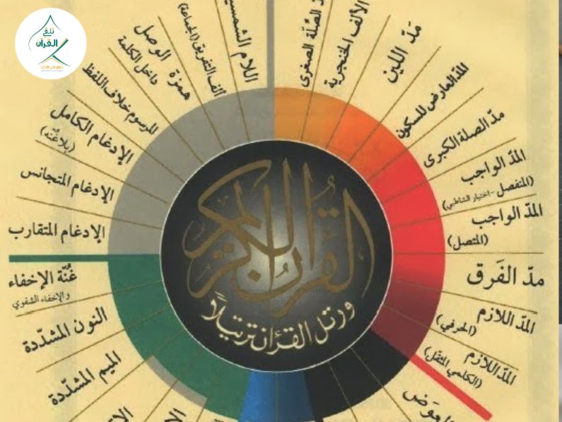تلقي القرآن - الدليل العملي الشامل للمبتدئين في تعلم أحكام التجويد وتصحيح التلاوة الدليل العملي الشامل للمبتدئين في تعلم أحكام التجويد وتصحيح التلاوة