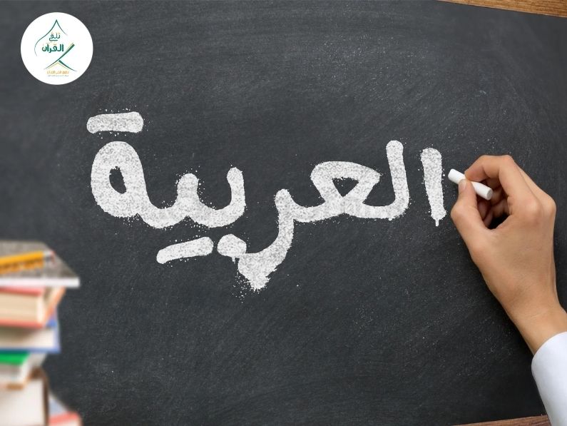 Talaqqi Al-Quran - The Difference Between Learning Modern Standard Arabic and Colloquial Dialects for Expats The Difference Between Learning Modern Standard Arabic and Colloquial Dialects for Expats