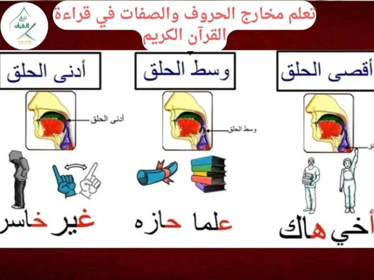 تلقي القرآن - أهمية تعلم مخارج الحروف والصفات في قراءة القرآن الكريم أهمية تعلم مخارج الحروف والصفات في قراءة القرآن الكريم