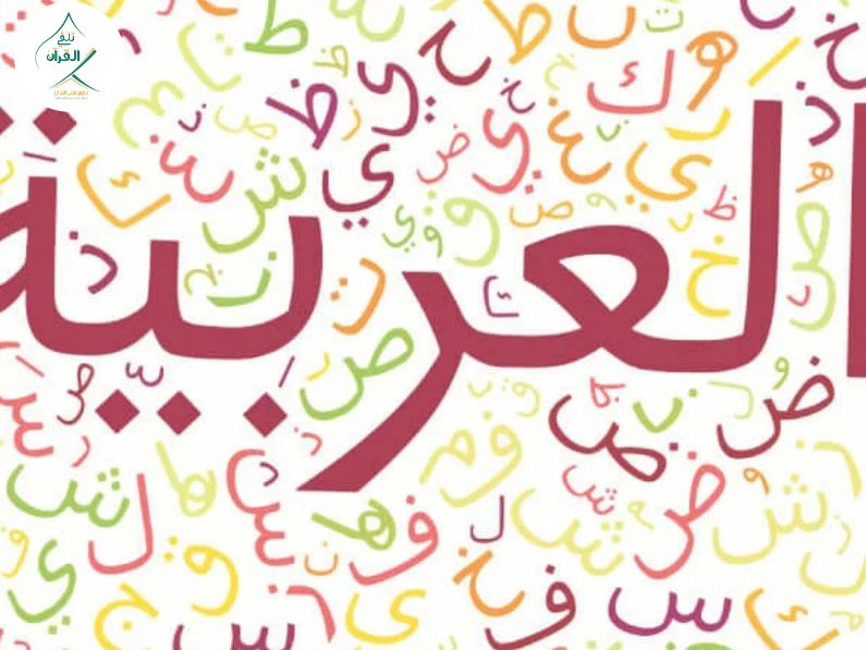 Talaqqi Al-Quran - The Difference Between Learning Modern Standard Arabic and Colloquial Dialects for Expats The Difference Between Learning Modern Standard Arabic and Colloquial Dialects for Expats