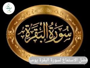 فضل الاستماع لسورة البقرة يومياً في البيت والعمل