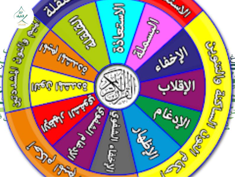 التجويد النظري أم التطبيقي؟ كيف تتقن أحكام التلاوة دون حفظ القواعد المعقدة؟