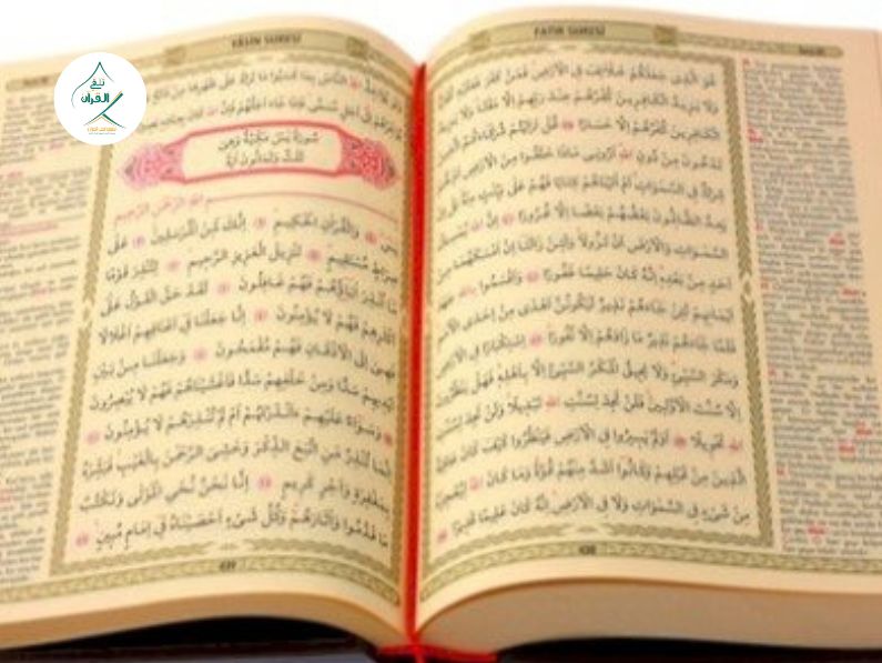 التجويد النظري أم التطبيقي؟ كيف تتقن أحكام التلاوة دون حفظ القواعد المعقدة؟